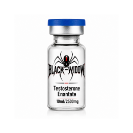 Testosteron Enantate (TE) 250mg